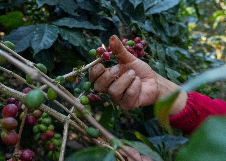 Nuestra cafetería